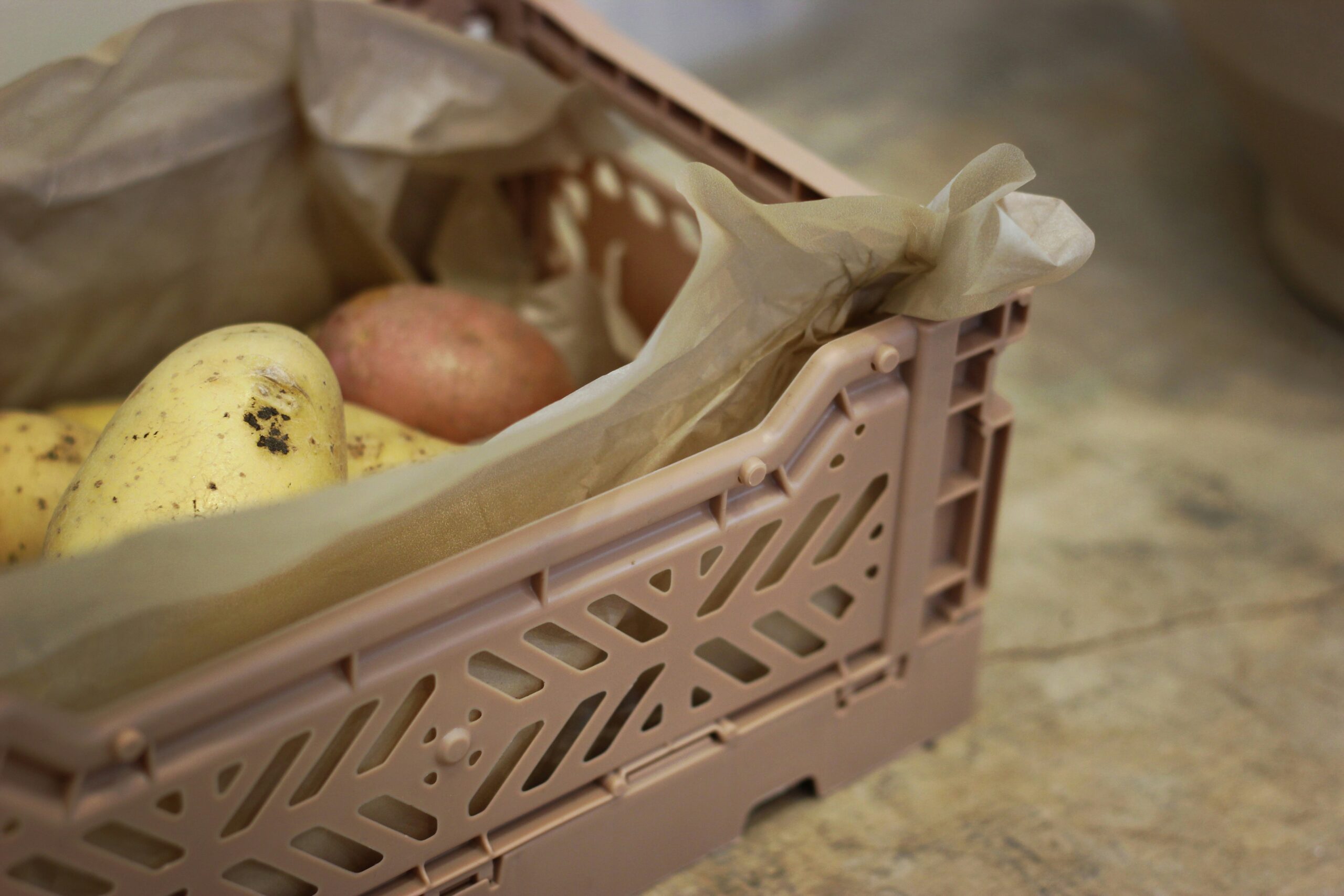 découvrez la saveur authentique de la pomme de terre reconstituée, idéale pour des plats savoureux et faciles à préparer.
